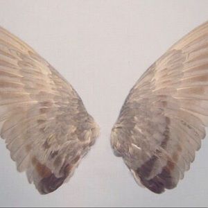 Meet your Posher, Bella